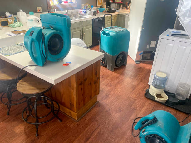 Best Emergency water damage restoration  in Meadow Woods, FL
