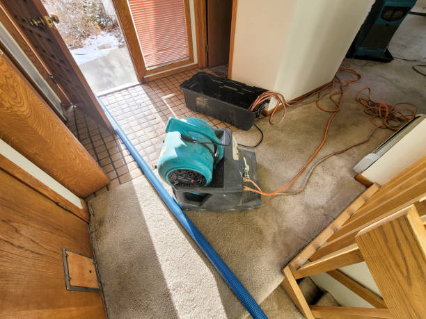 Best 24/7 water damage repair  in Meadow Woods, FL