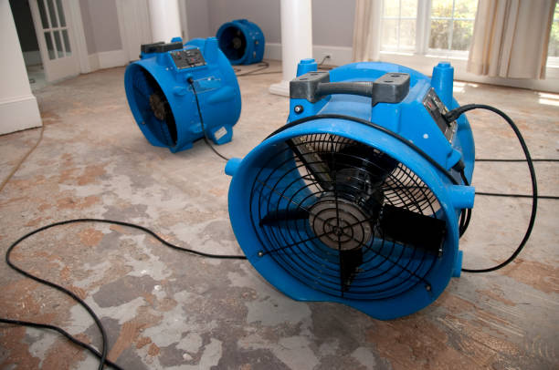 Best Flood restoration services  in Meadow Woods, FL