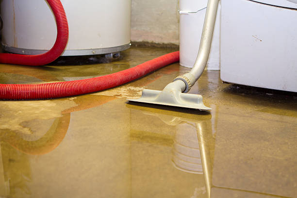 Best Water damage restoration near me  in Meadow Woods, FL