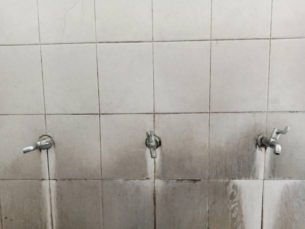 Best Water damage restoration mold remediation  in Meadow Woods, FL
