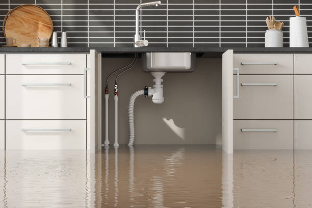 Best Emergency water extraction  in Meadow Woods, FL